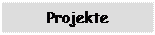 Textfeld: Projekte

